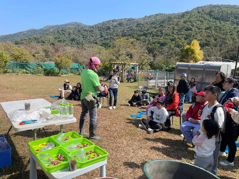 綠動親子時光:環保酵素農作體驗 x 尋訪水牛之家