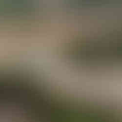 location hors saison corse villa piscine