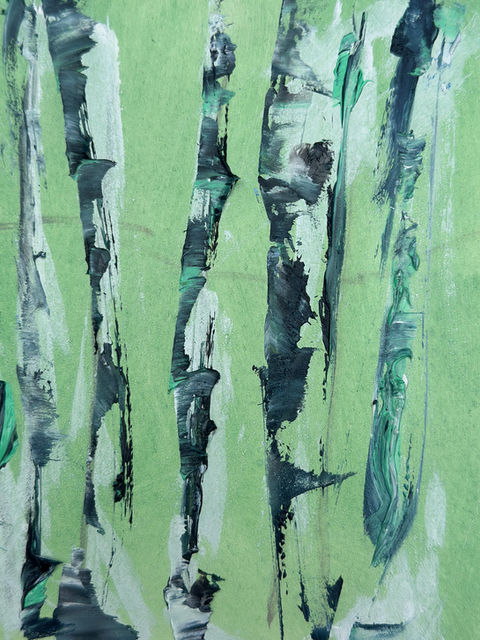 Aspen series