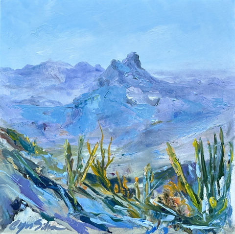 LANDSCAPES