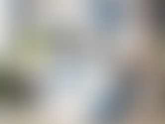 How to write a basic business plan book