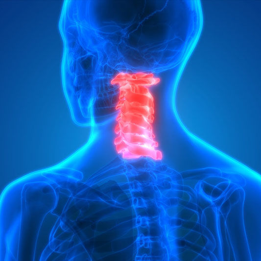 cervical.jpg