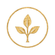 wb-fertile.png