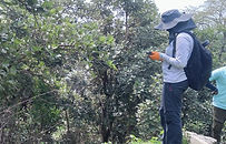 GeoRocks Techno-Economic Assessment of Mn Blocks in Madhya Pradesh