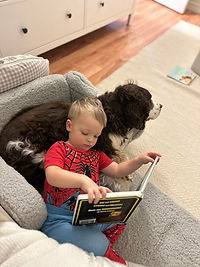 A toddler reading a board book to his dog