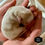 Thumbnail: Bear Male
