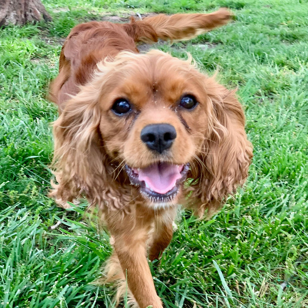 Thumbnail: Add Me To the Message List