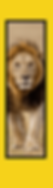 resize 1millionand 1 (540 x 1920 px).png