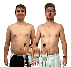 5 visceral fat.png