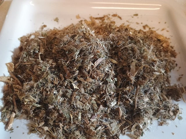 Blessed Thistle (Herb)