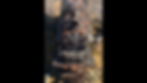 SteamLocoMotive_06