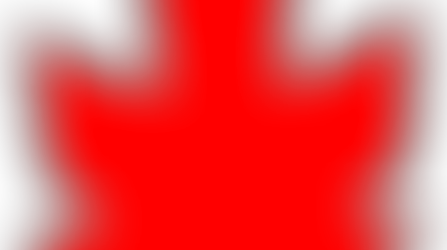 Our new website is finally up!