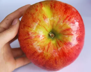 Twenty Ounce apple.PNG