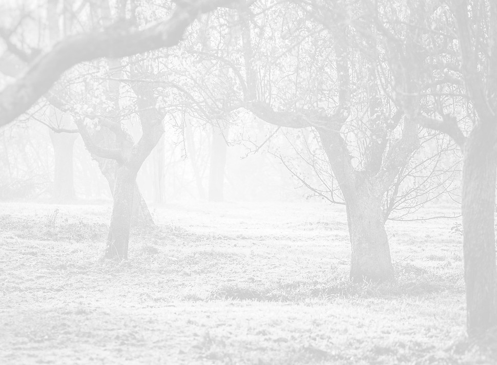 orchard-g6214c3795_1280_edited.jpg
