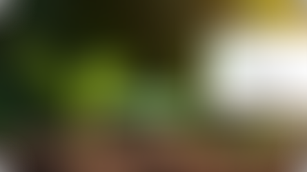 B.A.U.M.-Umwelt- und Nachhaltigkeitspreis in Hamburg