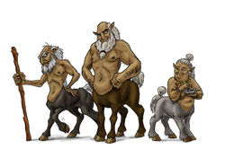 Les anciens centaures