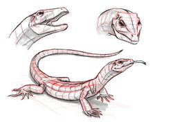 Reptile