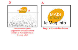 Storyboard pour Maïs Durable (2/2)