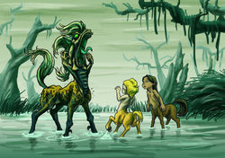 Face à un kelpie