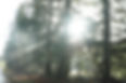 DSC04141.JPG