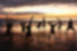 SunsetPlay.jpg