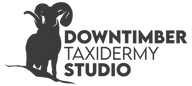 Downtimber Taxidermy Studio LLC