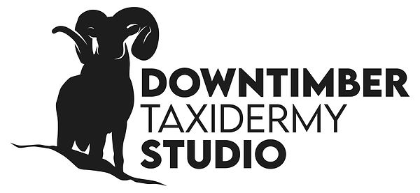 Downtimber Taxidermy Studio LLC