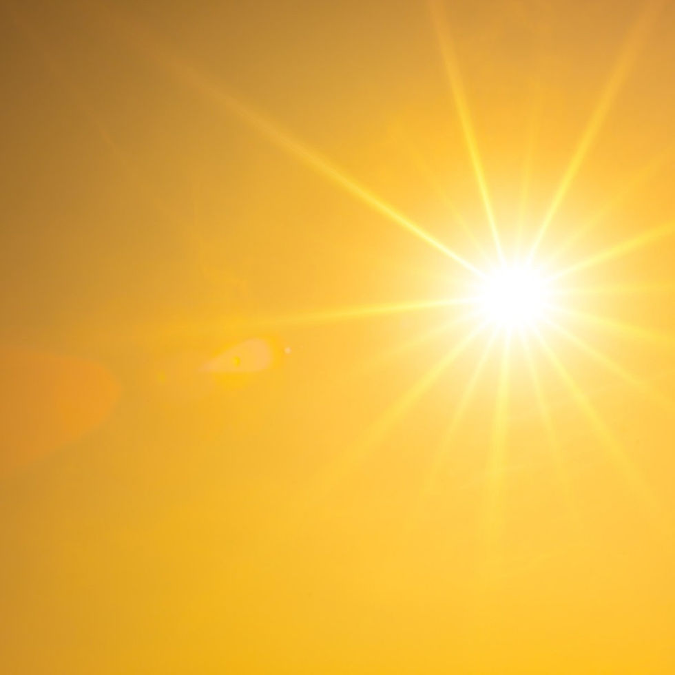 do not place me in sunlight for long periods of time