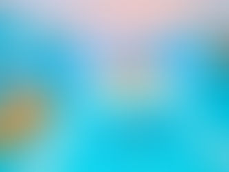 Jellycat Yacht Club 全球首度聯乘隆重登陸海港城連卡佛