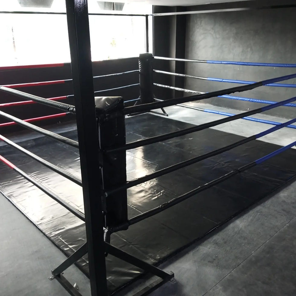 Miniatura: RINGUE DE SOLO 3X3