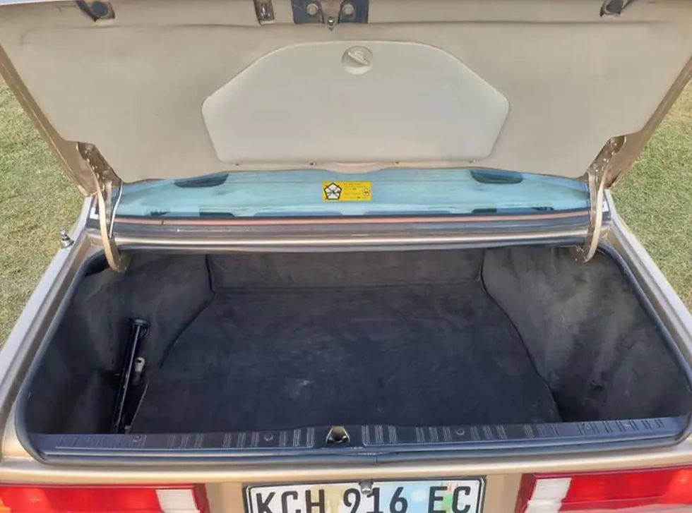 Thumbnail: 1989 BMW 320i E30 Auto 