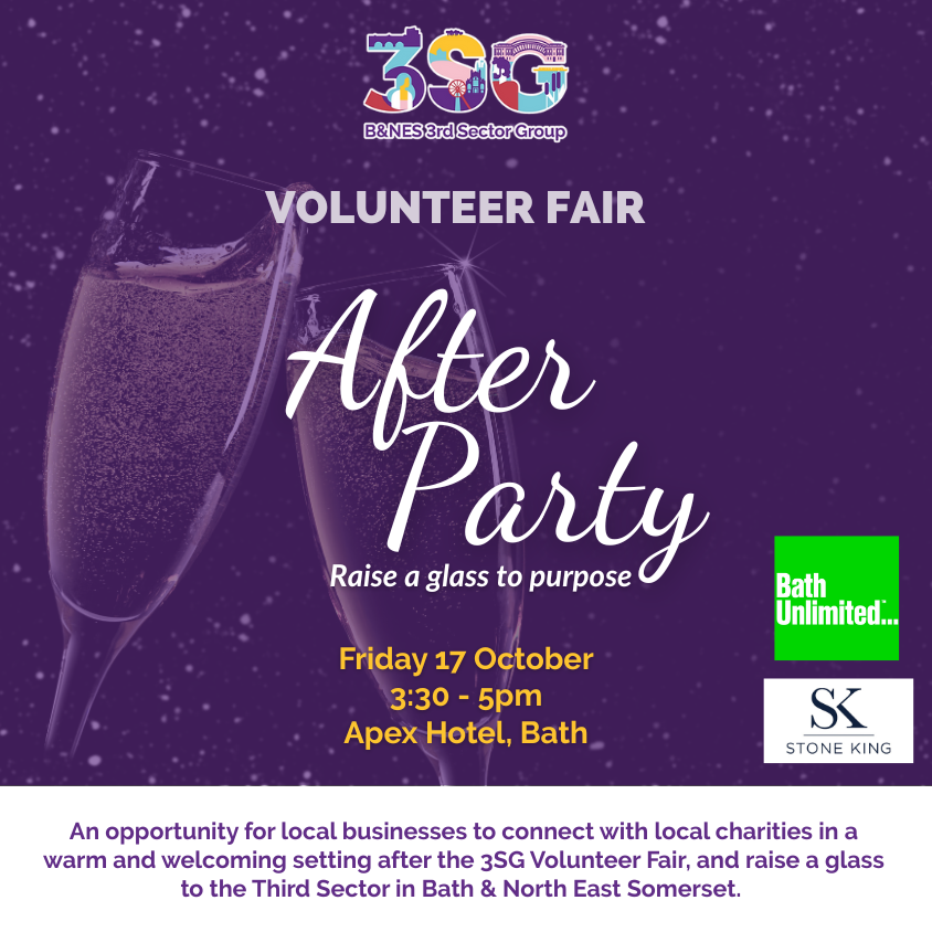 3SG Volunteer Fair After Party - Charity & Business Networking