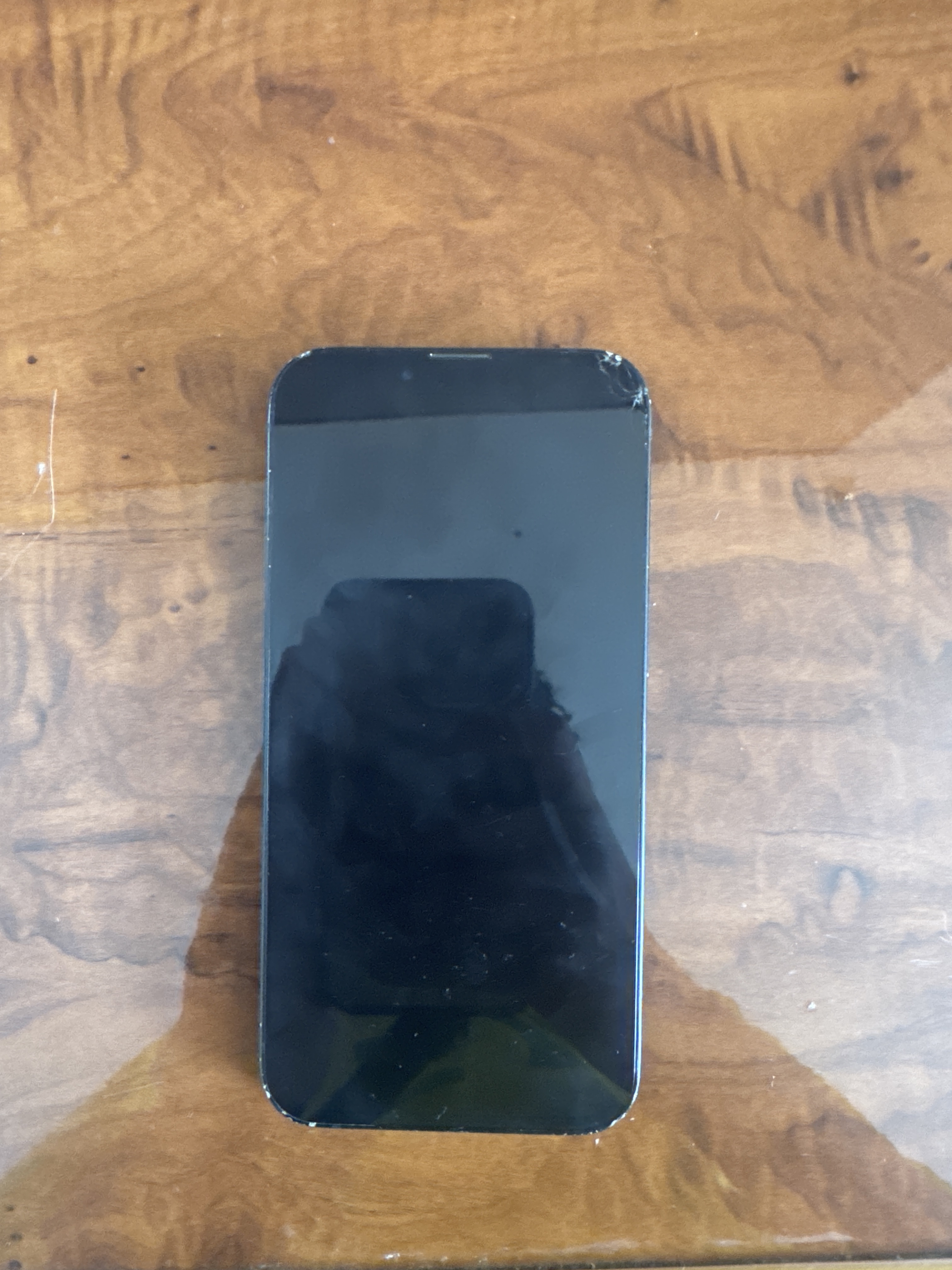 iPhone 14