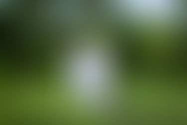 Relembre: reportagem sobre a Bee Mel na Revista Globo Rural