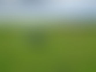 Time To Dust Off The Trailer & Get It Hauling Again?