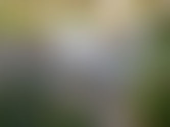 How to Choose the Right Garden Furniture Style for Your Outdoor Space