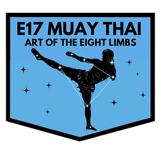 E17 (2).png