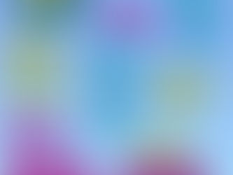 Sunshine, Wall Mats & Eat or Heat - 02/03/2026 E17 BJJ Weekly Newsletter