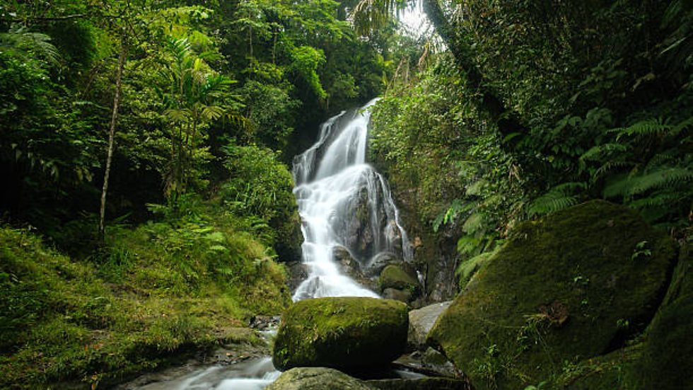 10 Tempat Outbound di Bogor yang Wajib Dikunjungi