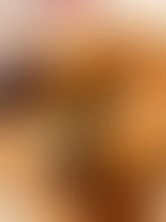 Baked Brie with Caramelized Onions and Mushrooms