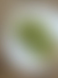 Mediterranean Pea Toast