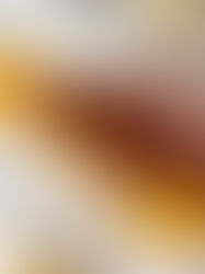 Dark Chocolate Caramel stuffed Pumpkin Brioche French Toast