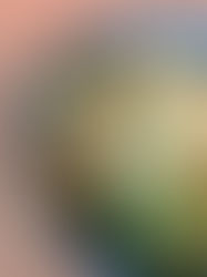 Pesto Chicken Gnocchi 