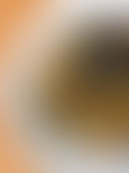 Moroccan Roasted Eggplant 