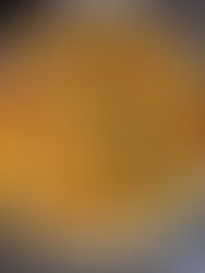 Chicken Shawarma Bowl with Crispy Quinoa