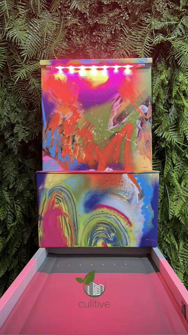 GIF CULLTIVE FORMATO INSTA.gif