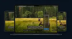Ray AI video understanding device Kickstarter crowdfunding review