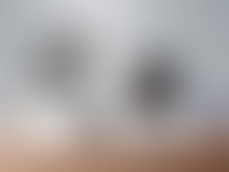 Anycubic P1 Resin 3D Printer on Kickstarter industrial prosumer