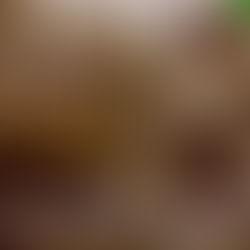 Deadlands 30th Anniversary Kickstarter campaign featuring the retrospective book and Weird West RPG materials