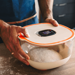 Crustello smart dough bowl on Kickstarter featuring AI-powered fermentation tracking